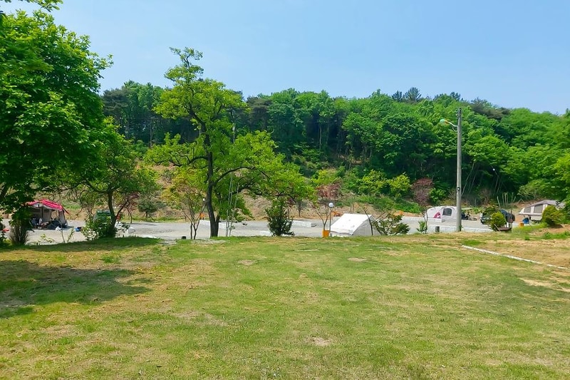 푸르미르 관광농원 시설 사진 8