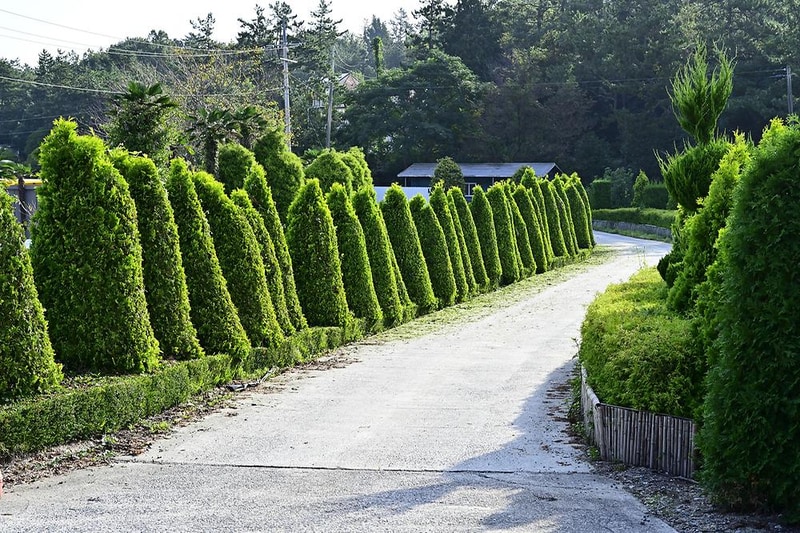 림스 글램핑 시설 사진 16