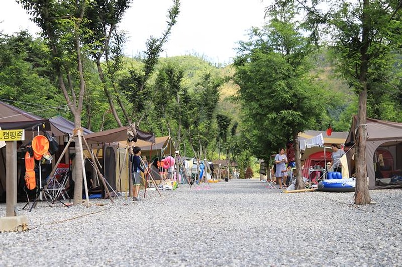 원주산노리 캠핑장