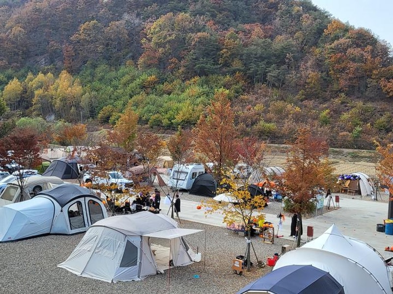 상주 가족캠핑장