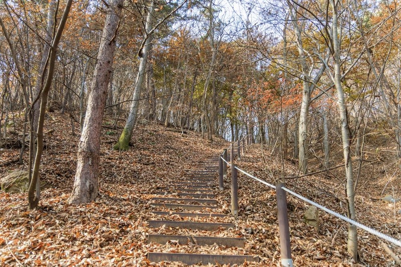 전월산 국민여가캠핑장 시설 사진 68