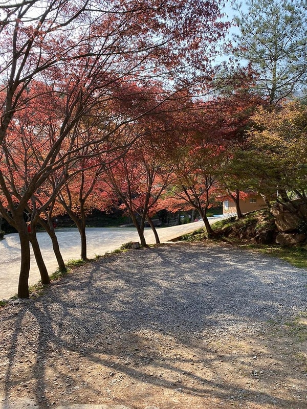 섬지캠핑장 시설 사진 7