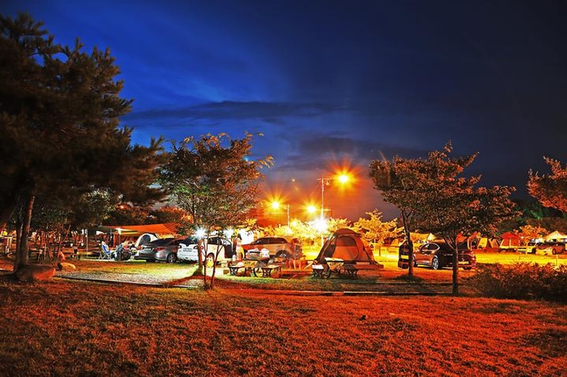 송지호 오토 캠핑장