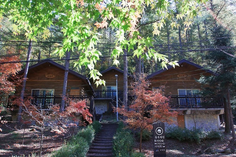 통고산 자연휴양림야영장 시설 사진 2