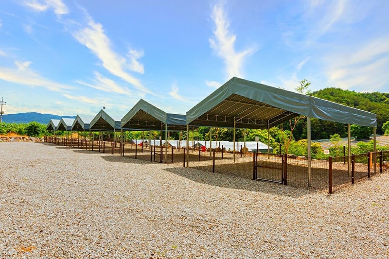 드루왈 캠핑장 시설 사진 10