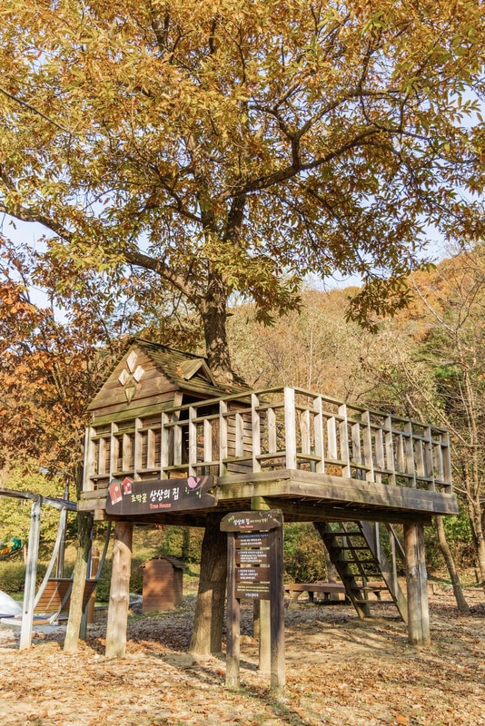 초막골생태공원 느티나무야영장 시설 사진 11