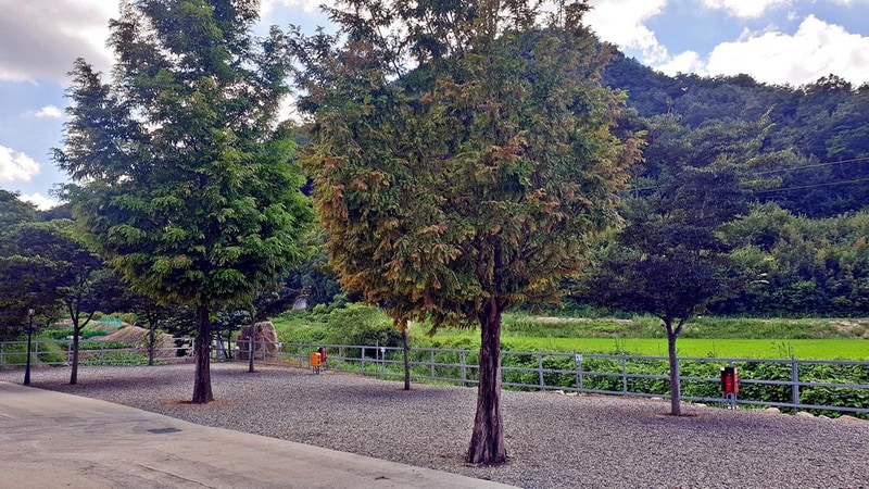 상주 가족캠핑장 시설 사진 12