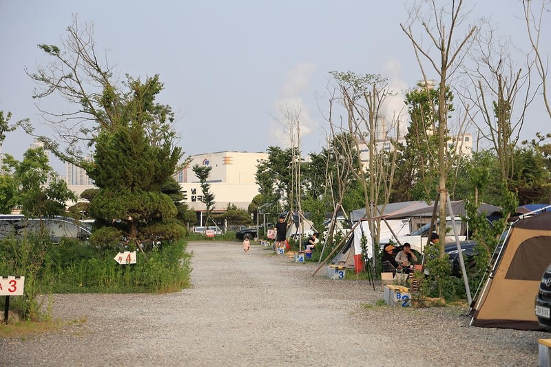 버드오토캠핑장 시설 사진 8