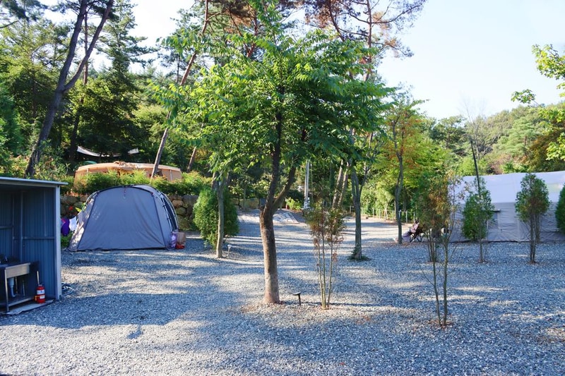 (주)러블레싱(LOVEBLEESING INC) 시설 사진 9