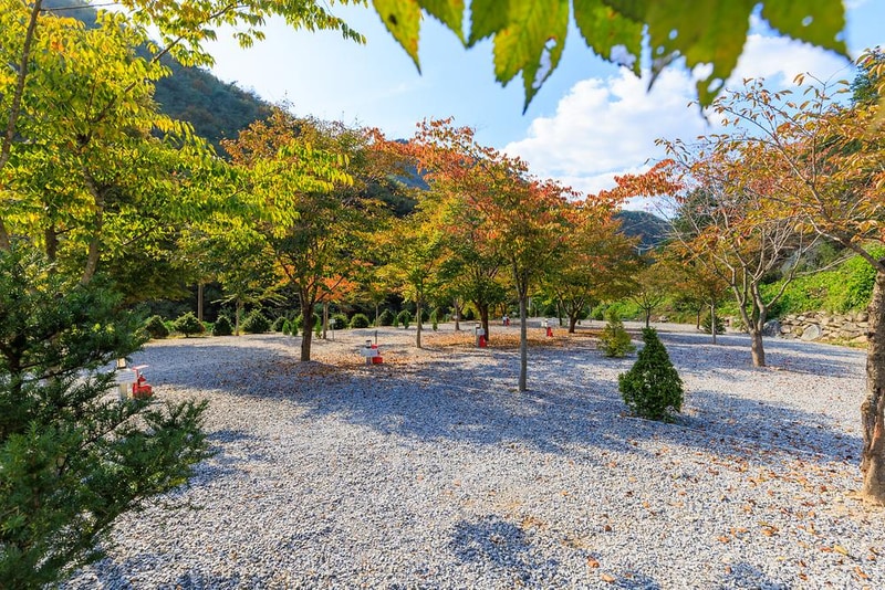 별하숲캠핑장 시설 사진 26