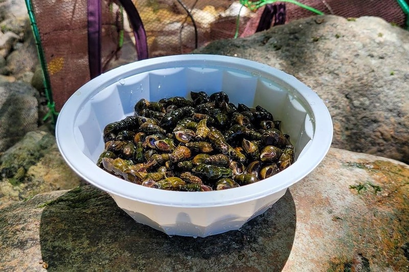 208덕동 캠핑장 시설 사진 5