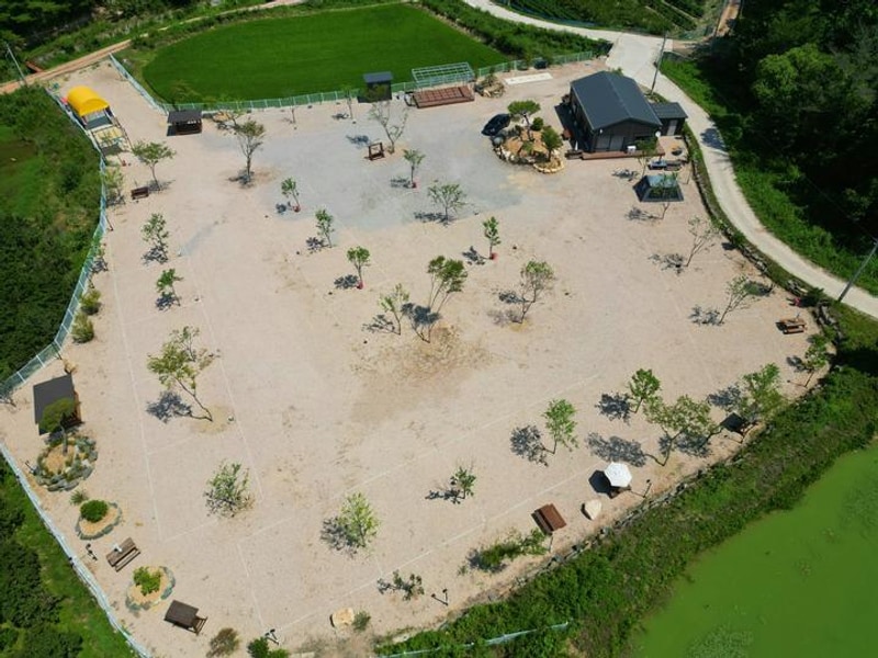 메타쉐콰이어 오토 캠핑장