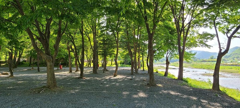 써니밸리오토캠핑장 시설 사진 13