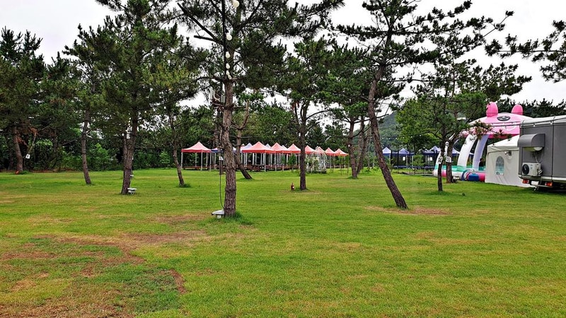 판타스틱 캠프닉 시설 사진 29