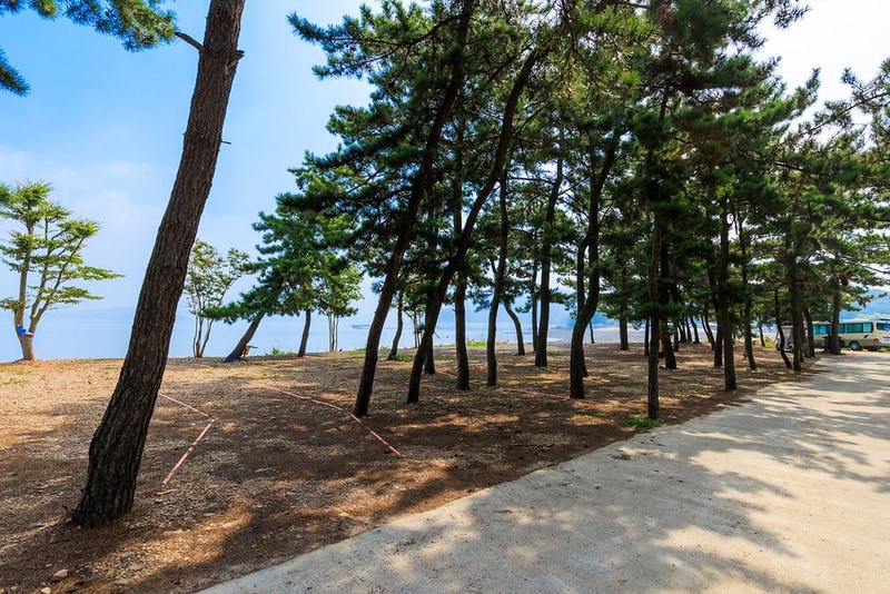 서산벌천포캠핑장 시설 사진 13