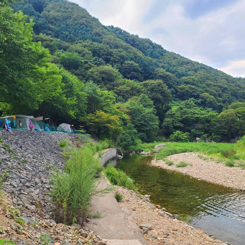 별삼킨별캠핑장 시설 사진 7