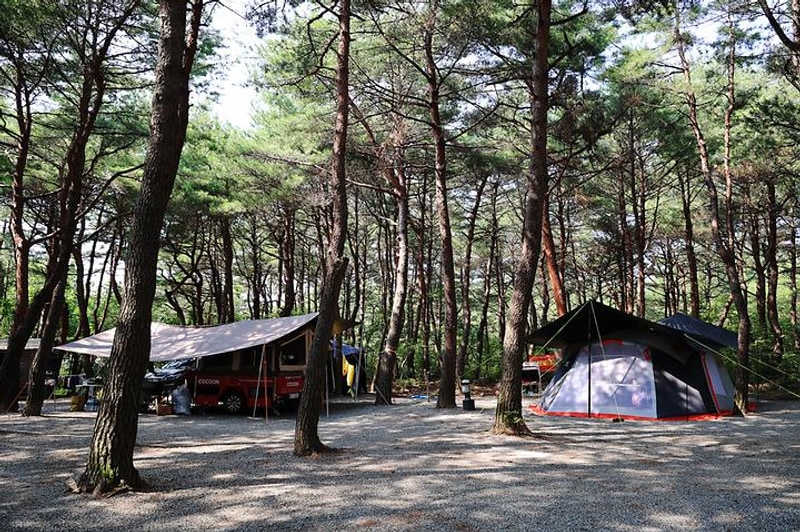 양양 솔바다 캠핑장