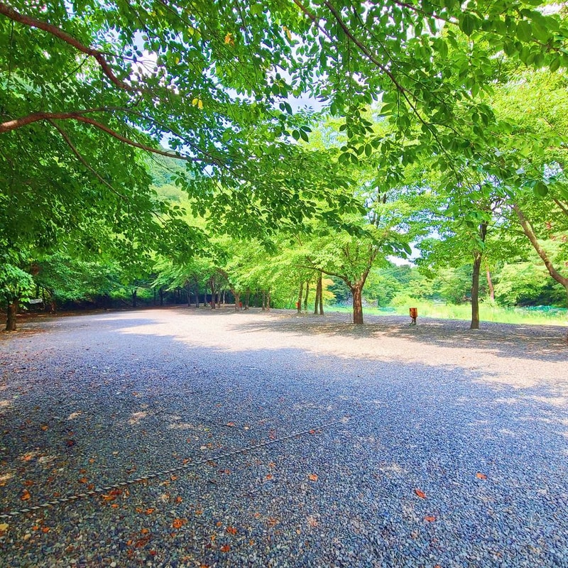 별삼킨별캠핑장 시설 사진 23