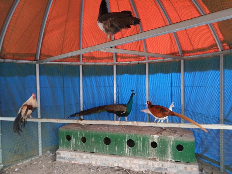 도전캠핑장 시설 사진 6