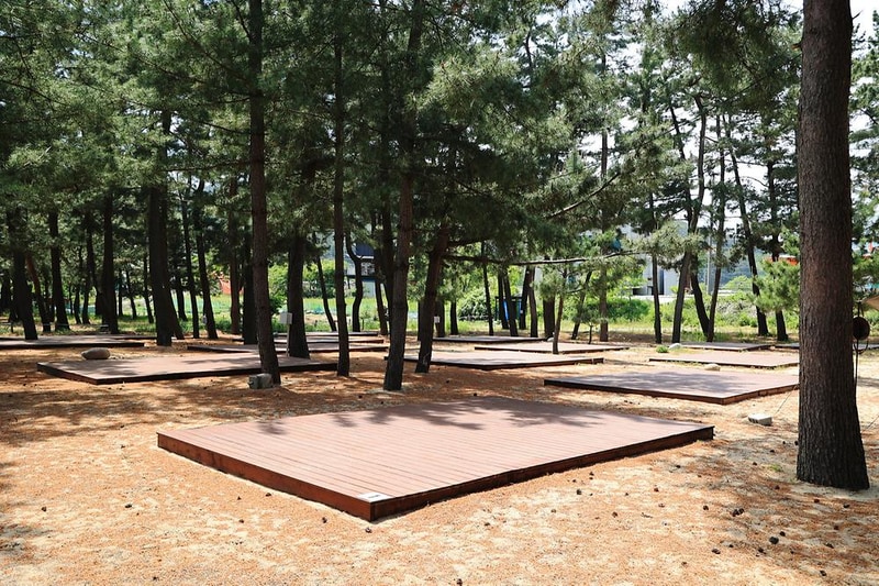 북분솔밭캠핑장 시설 사진 13