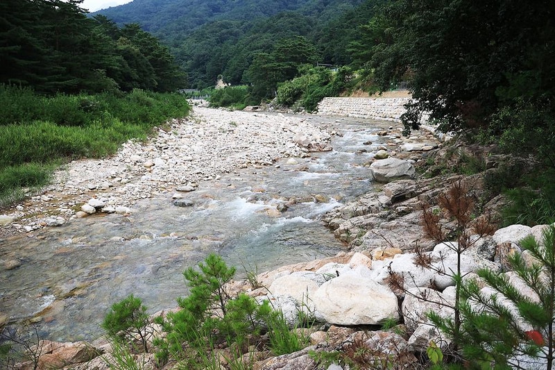 오색 산새소리캠핑장 시설 사진 9