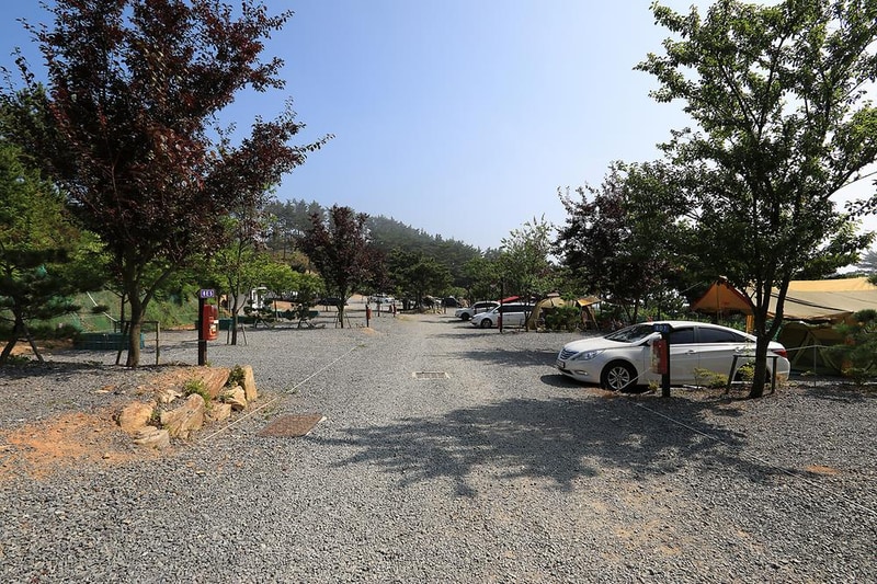 SE클럽(태안둘레길캠핑장&펜션) 시설 사진 13