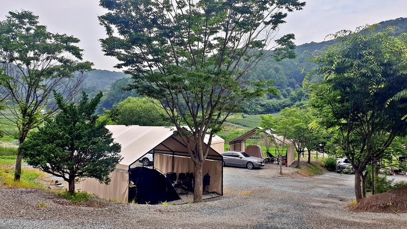 원더 포레스트 시설 사진 24