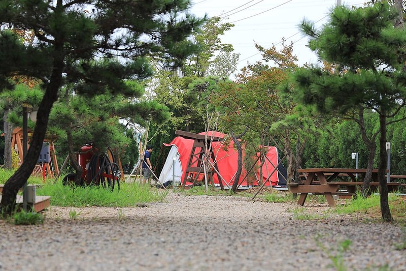 푸른섬 캠핑장 시설 사진 4