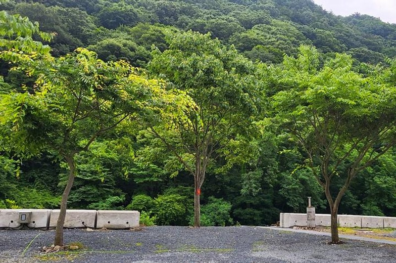 하옥 가람 캠핑장