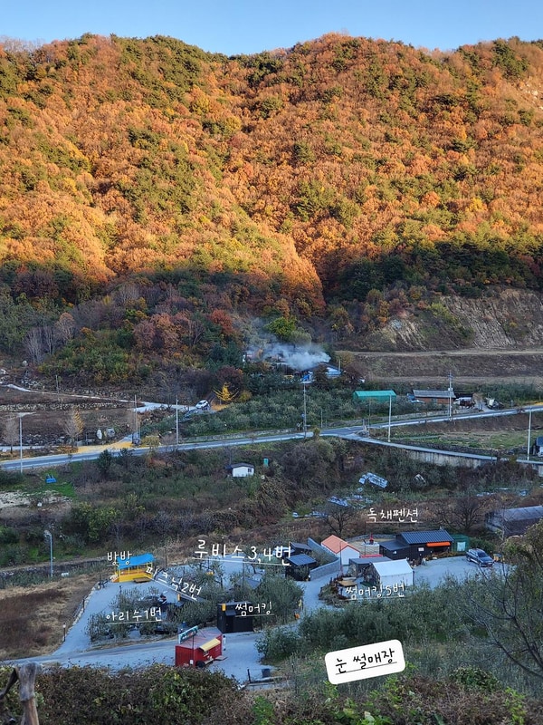 사과꽃향기 시설 사진 8