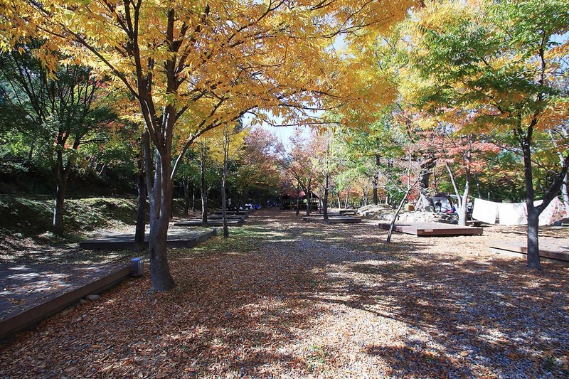 구수곡 자연휴양림 시설 사진 5