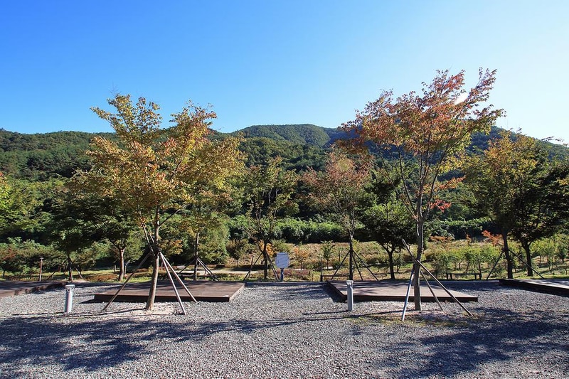 비학산자연휴양림 시설 사진 2