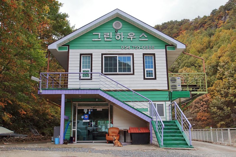 그린하우스캠핑장 시설 사진 3