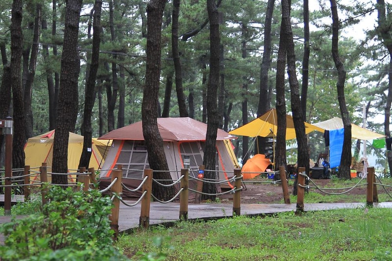 연곡해변 솔향기캠핑장 시설 사진 3