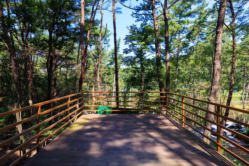 올레유 시설 사진 14