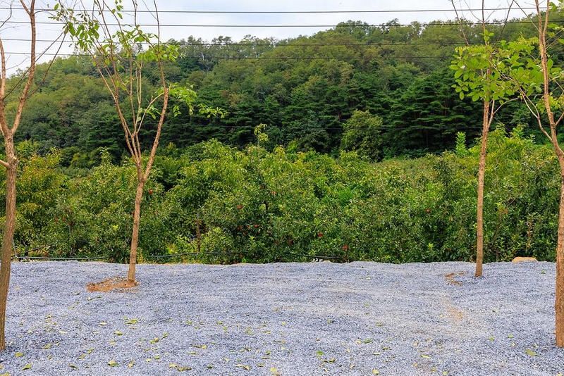 군위 솔밭야영장 시설 사진 7