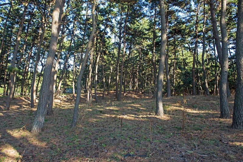 별헤는 밤 시설 사진 6