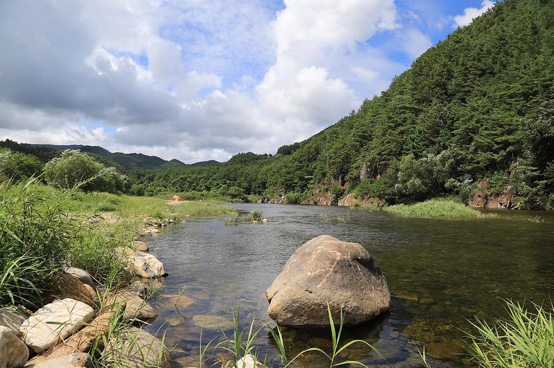 삼척엘림캠핑장 시설 사진 3