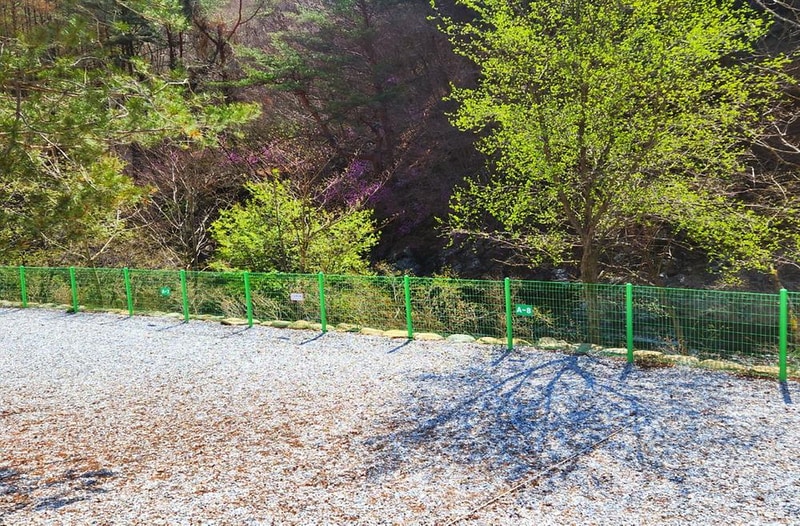 또바기캠핑장 시설 사진 36