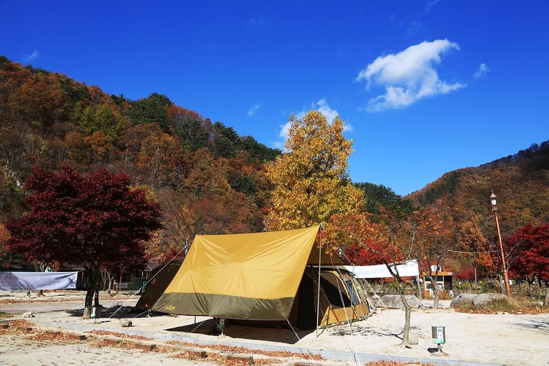 달궁자동차야영장 시설 사진 46