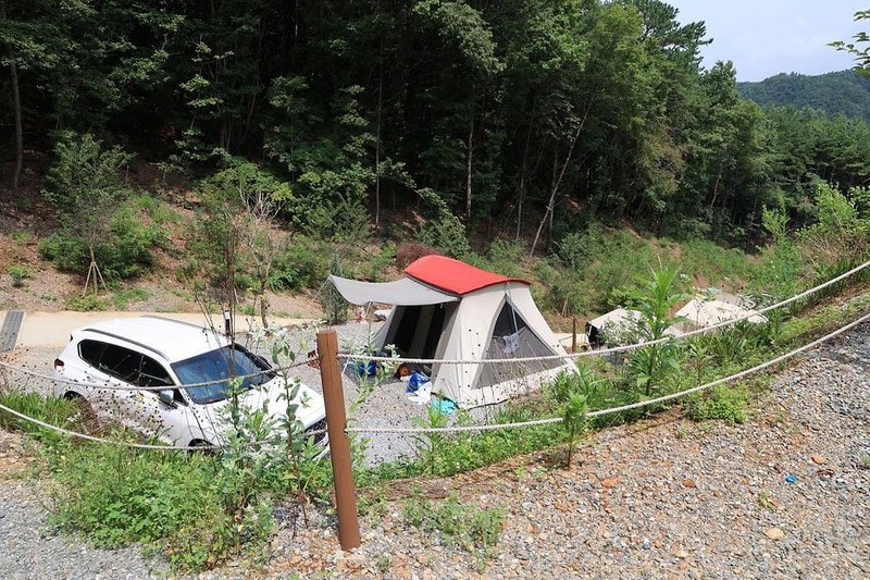 푸르른 캠핑장 시설 사진 10