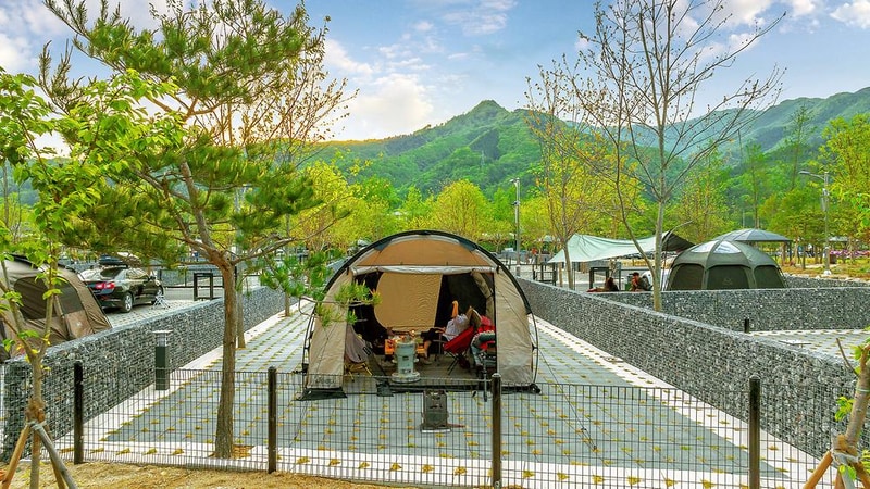 아워 포레스트 시설 사진 14