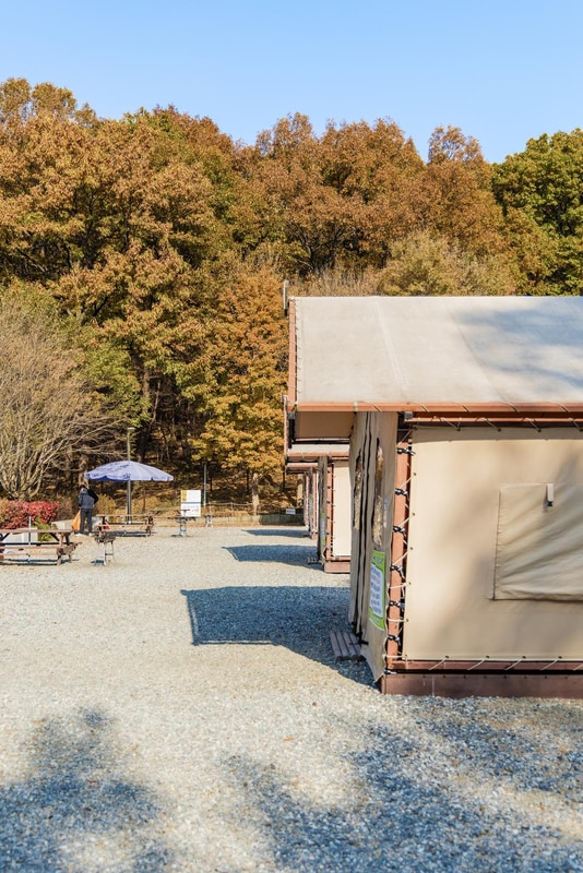 초막골생태공원 느티나무야영장 시설 사진 41