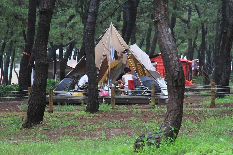 연곡해변 솔향기캠핑장 시설 사진 4