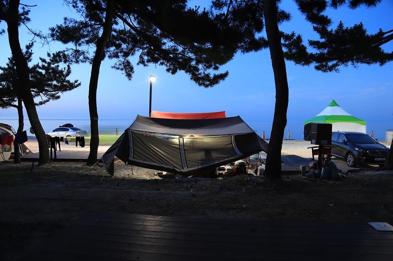 연곡해변 솔향기캠핑장 시설 사진 16