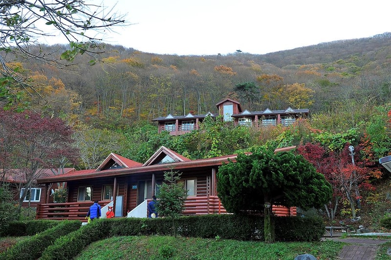 팔영산 자연휴양림 야영장 시설 사진 15