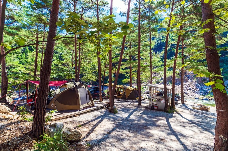 왕피천 숲속 캠핑장 시설 사진 16