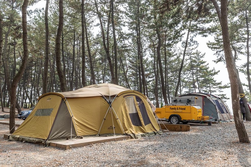 장항오토캠핑장 시설 사진 13