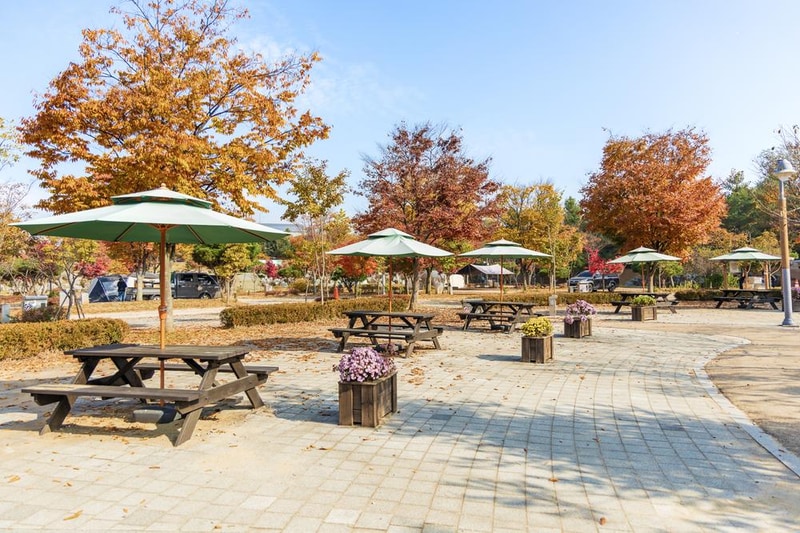 화성시 향남 오토캠핑장 시설 사진 47