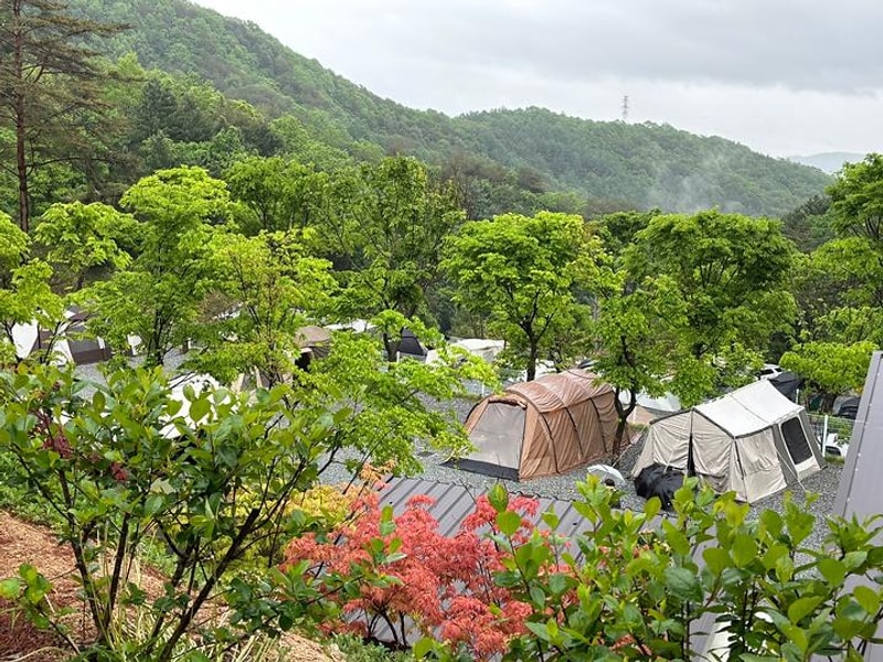 소구니캠핑장